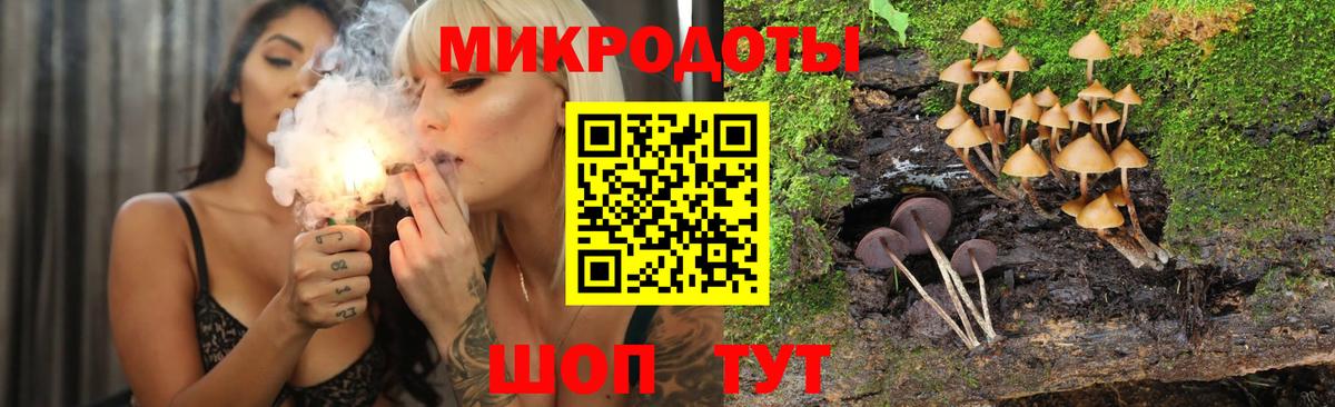 Псилоцибиновые грибы Psilocybine cubensis  Галлюциногенные грибы мицелий  Вход с VPN  Мурино 
