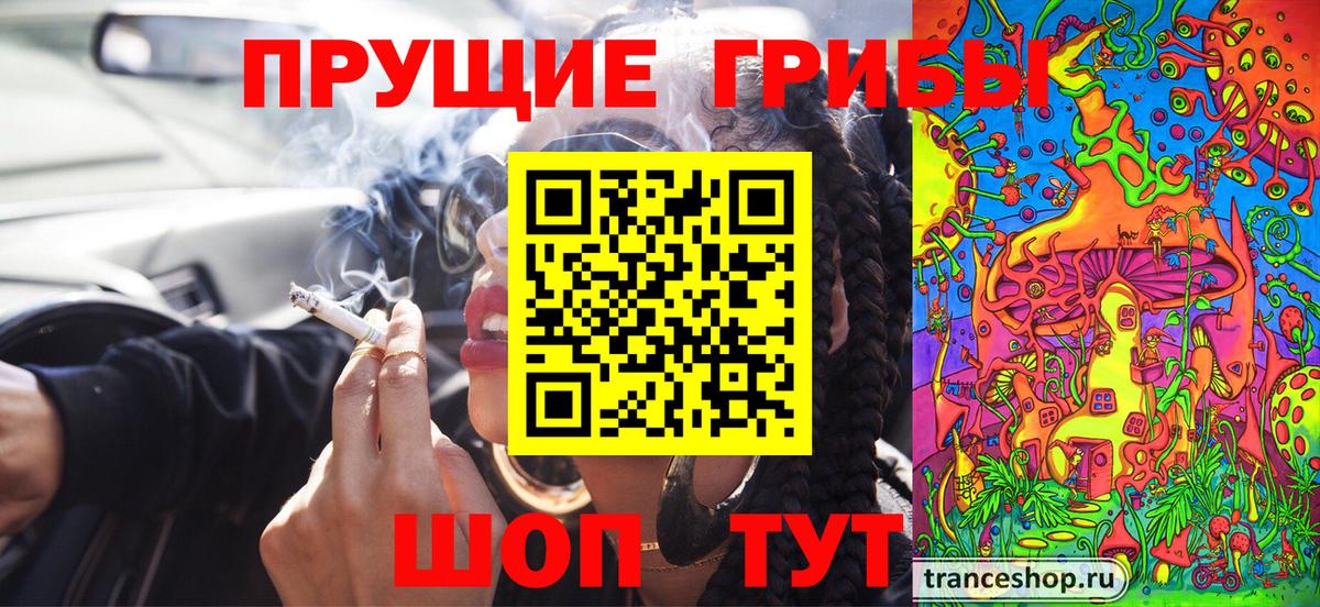 Псилоцибиновые грибы мицелий Мурино